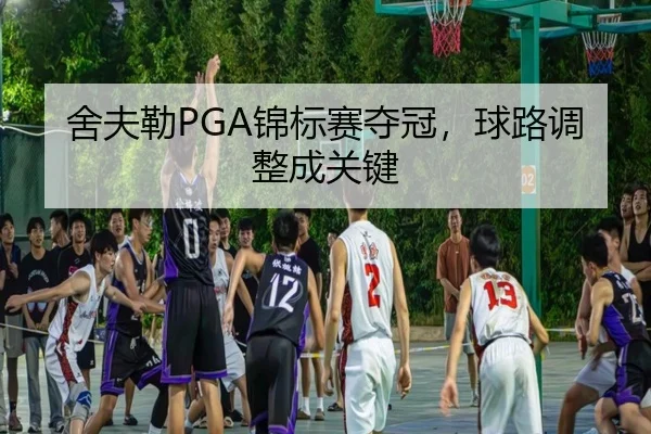 she-fu-lei-jin-biao-sai-duo-guan-qiu-lu-tiao-zheng-cheng-guan-jian-2-639.jpg